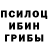 Псилоцибиновые грибы MAGIC MUSHROOMS Game Alex