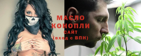 дмт Вяземский