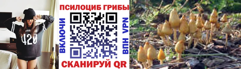 купить наркоту Галич Псилоцибиновые грибы MAGIC MUSHROOMS