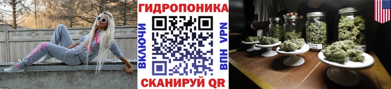 mega ТОР Галич Каннабис ГИДРОПОН